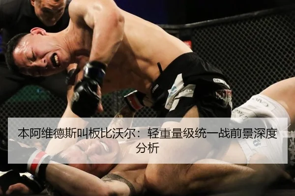本阿维德斯叫板比沃尔：轻重量级统一战前景深度分析